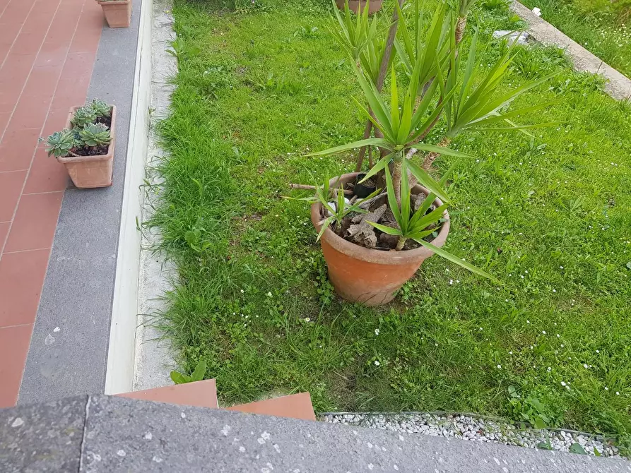 Immagine 7 di Appartamento in vendita  a Bientina