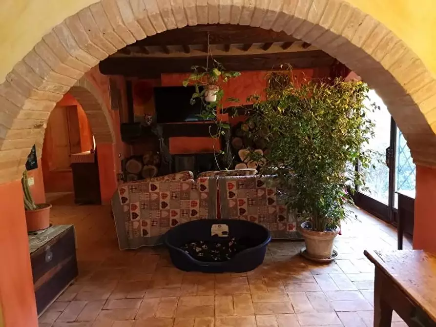 Immagine 17 di Casa colonica in vendita  a San Gimignano