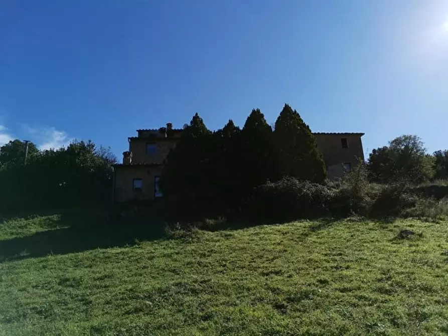 Immagine 5 di Casa colonica in vendita  a San Gimignano