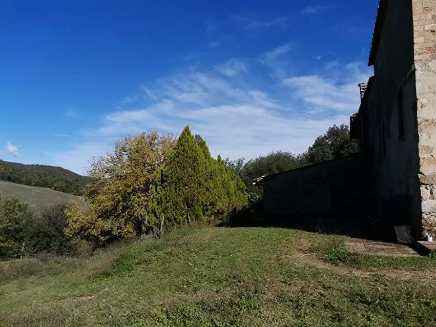 Immagine 42 di Casa colonica in vendita  a San Gimignano