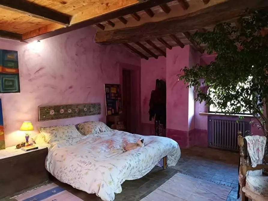 Immagine 37 di Casa colonica in vendita  a San Gimignano