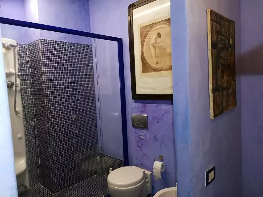 Immagine 15 di Casa colonica in vendita  a San Gimignano