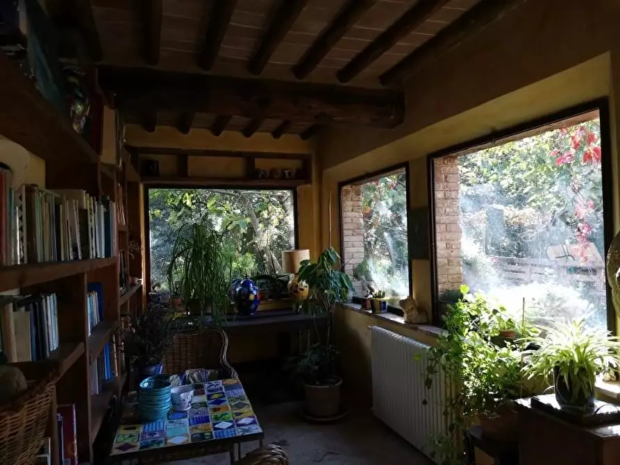 Immagine 18 di Casa colonica in vendita  a San Gimignano