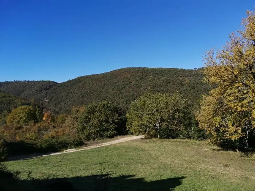 Immagine 4 di Casa colonica in vendita  a San Gimignano