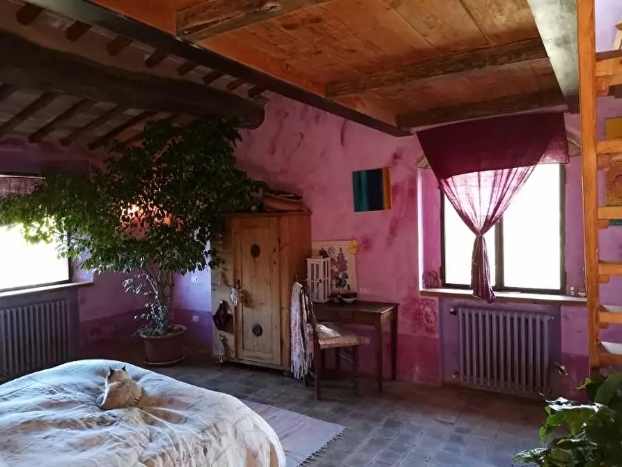 Immagine 35 di Casa colonica in vendita  a San Gimignano