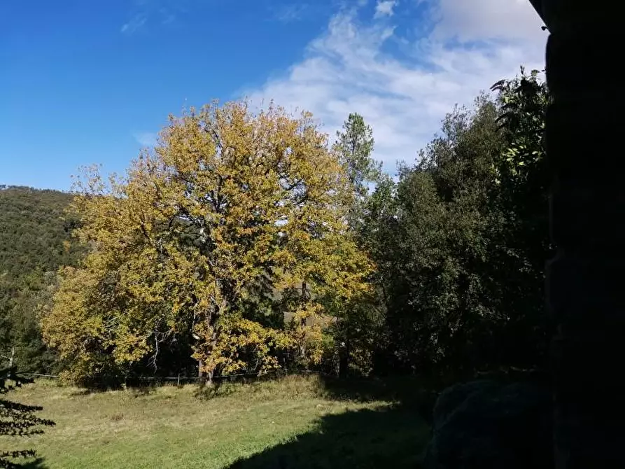 Immagine 9 di Casa colonica in vendita  a San Gimignano