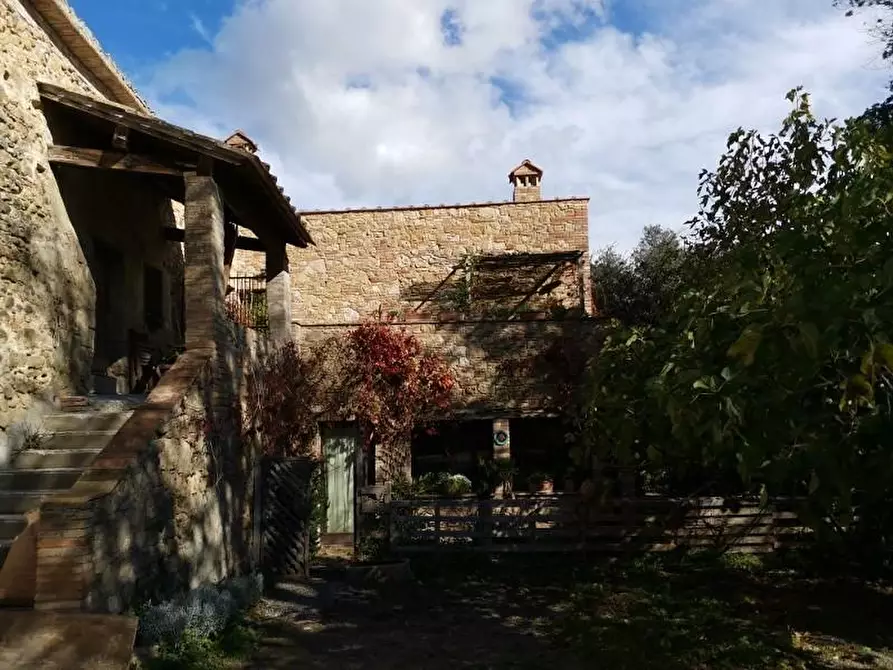 Immagine 13 di Casa colonica in vendita  a San Gimignano