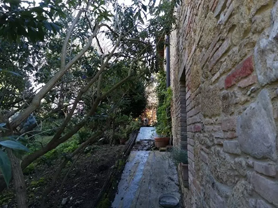 Immagine 12 di Casa colonica in vendita  a San Gimignano