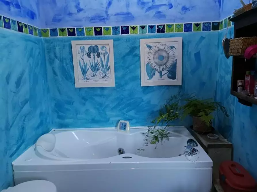 Immagine 38 di Casa colonica in vendita  a San Gimignano