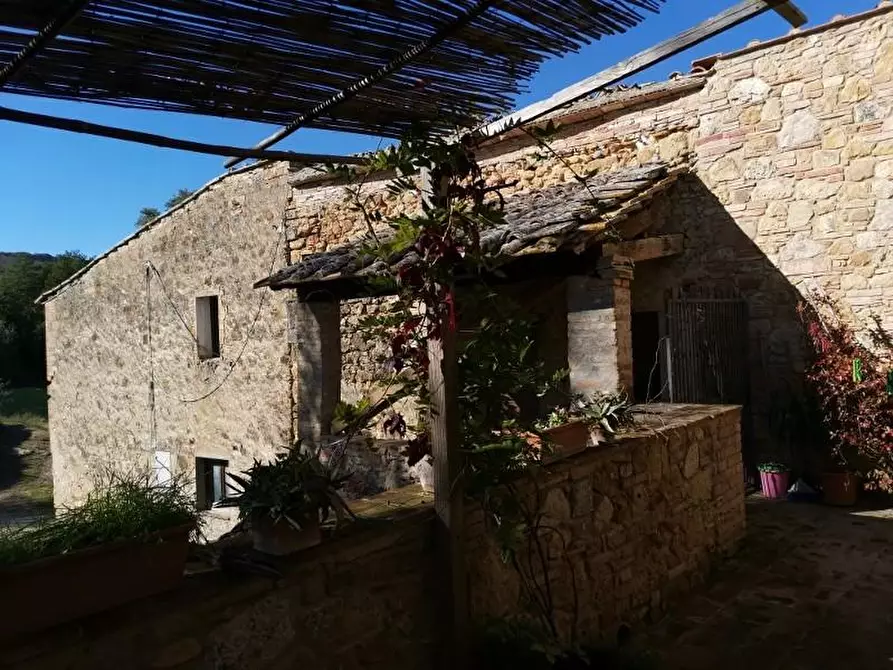 Immagine 41 di Casa colonica in vendita  a San Gimignano