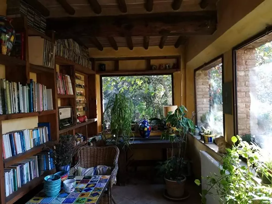 Immagine 3 di Casa colonica in vendita  a San Gimignano