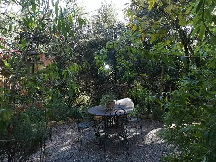 Immagine 19 di Casa colonica in vendita  a San Gimignano