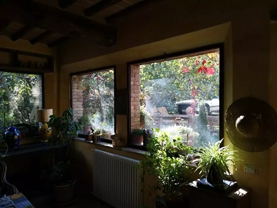 Immagine 2 di Casa colonica in vendita  a San Gimignano