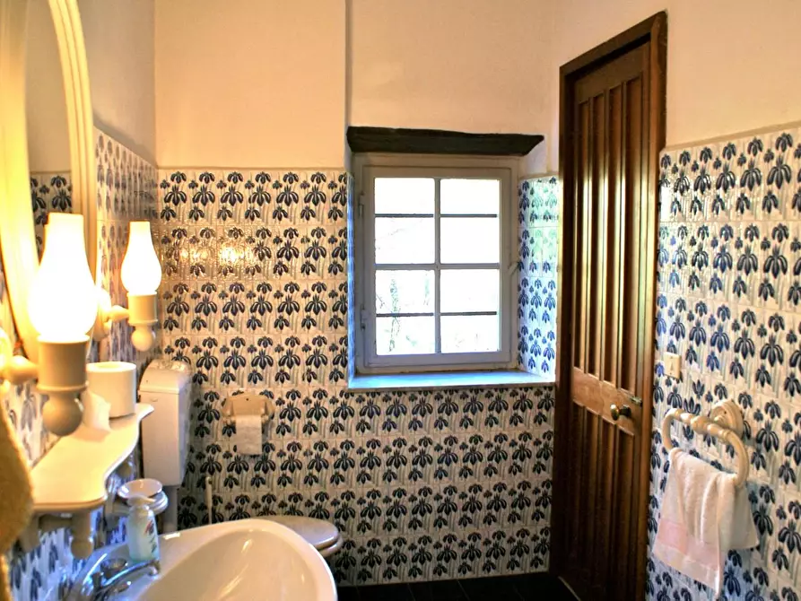 Immagine 19 di Rustico / casale in vendita  a Lucca