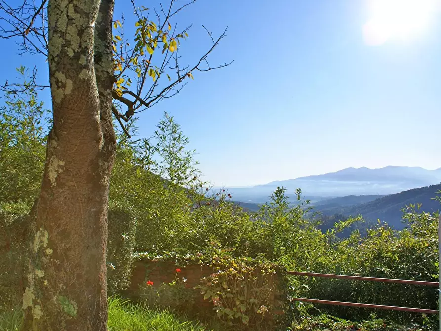 Immagine 5 di Rustico / casale in vendita  a Lucca