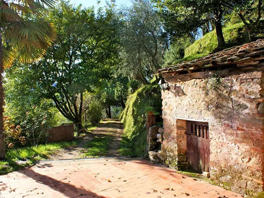 Immagine 4 di Rustico / casale in vendita  a Lucca