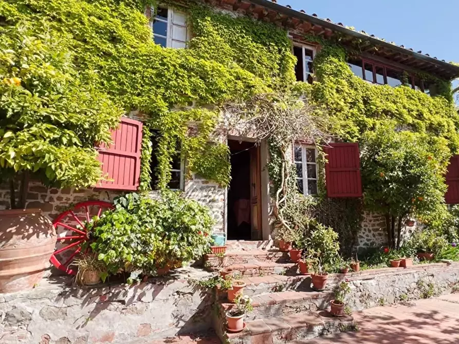 Immagine 3 di Rustico / casale in vendita  a Lucca