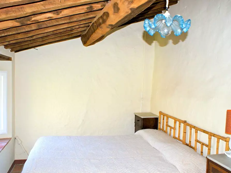 Immagine 17 di Rustico / casale in vendita  a Lucca