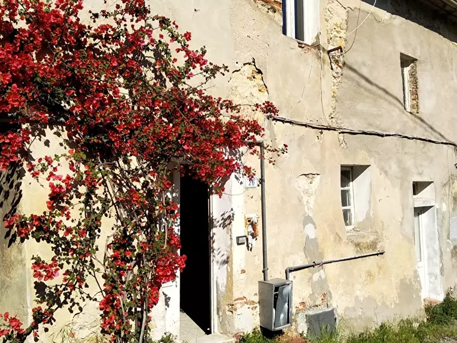 Immagine 1 di Terratetto in vendita  a Calci