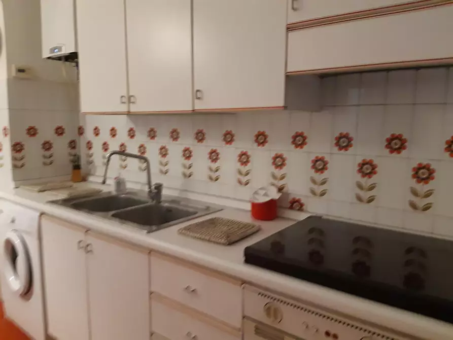 Immagine 12 di Appartamento in affitto  a Pisa