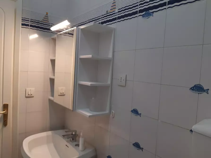 Immagine 18 di Appartamento in affitto  a Pisa