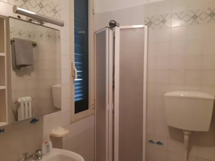 Immagine 15 di Appartamento in affitto  a Pisa