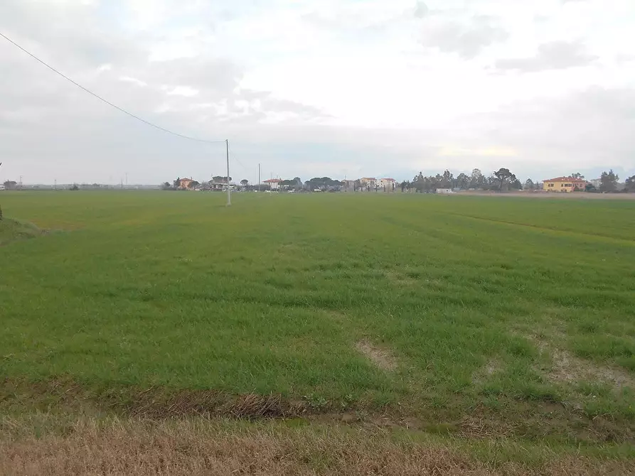 Immagine 1 di Terreno agricolo in vendita  a Collesalvetti