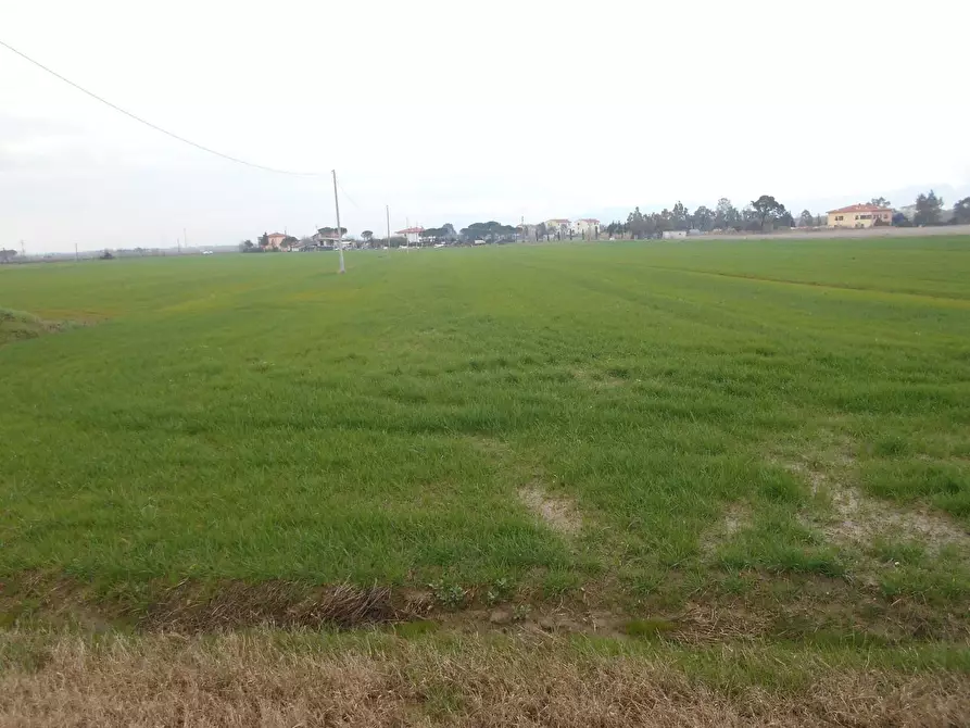 Immagine 3 di Terreno agricolo in vendita  a Collesalvetti