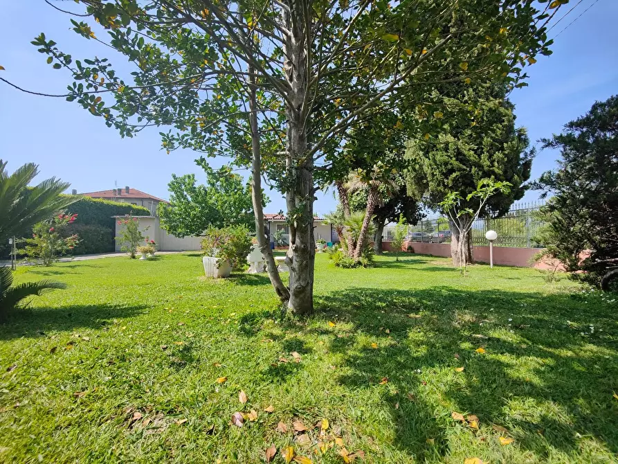 Immagine 9 di Villa in vendita  a Carrara