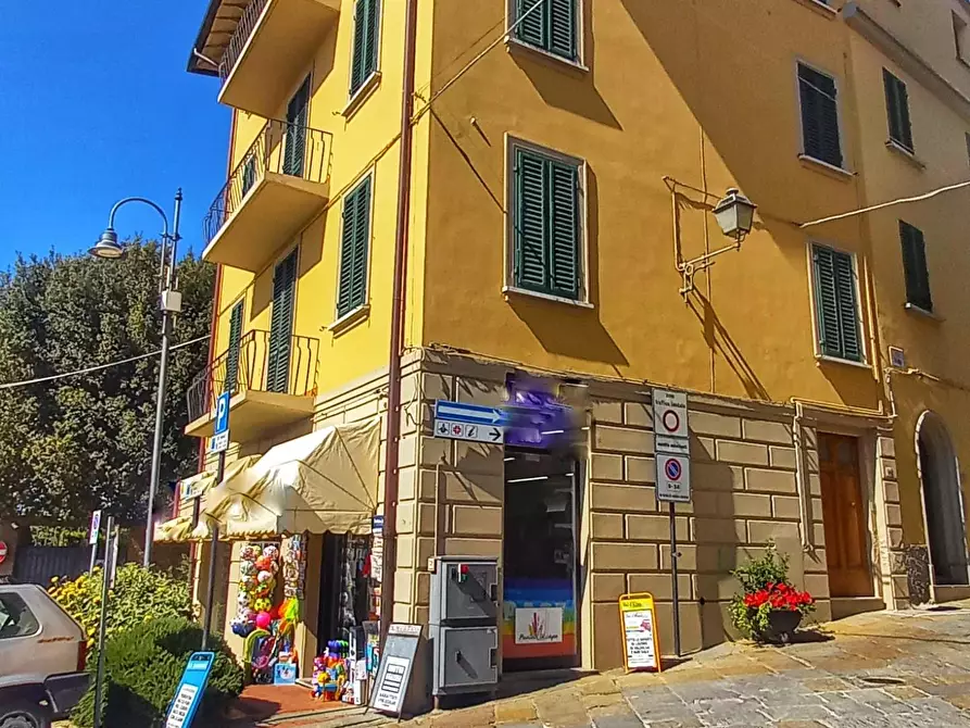 Immagine 2 di Palazzo in vendita  a Montaione