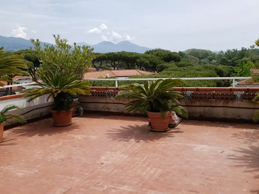 Immagine 37 di Mansarda in affitto  a Massa