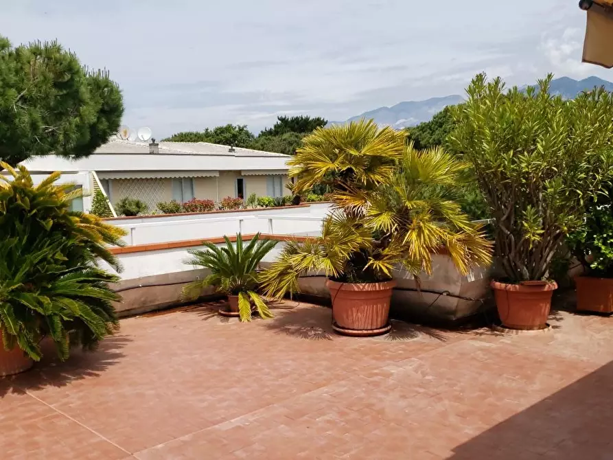 Immagine 32 di Mansarda in affitto  a Massa