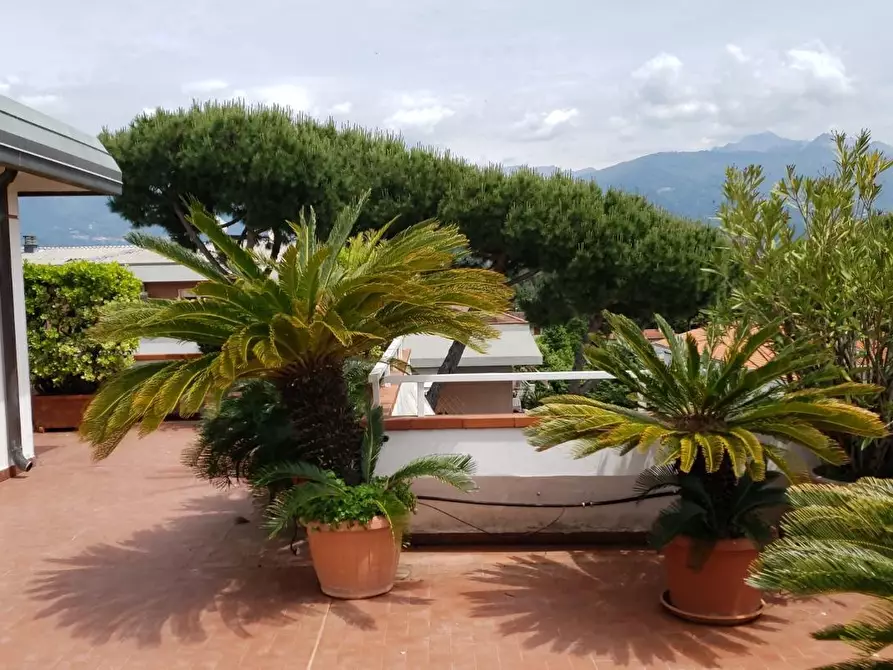 Immagine 27 di Mansarda in affitto  a Massa