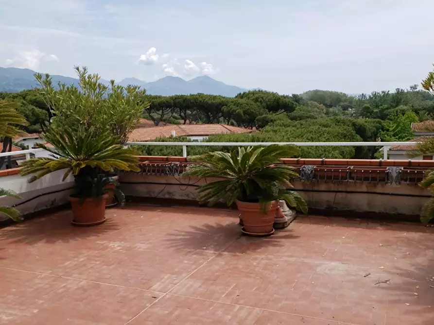 Immagine 40 di Mansarda in affitto  a Massa