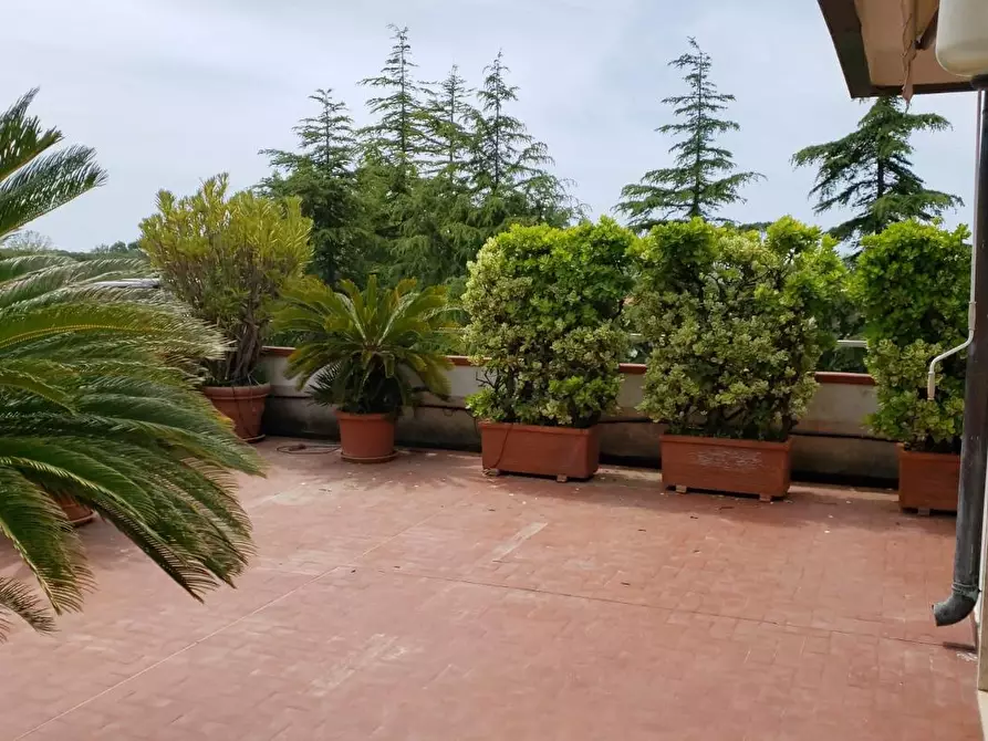 Immagine 28 di Mansarda in affitto  a Massa