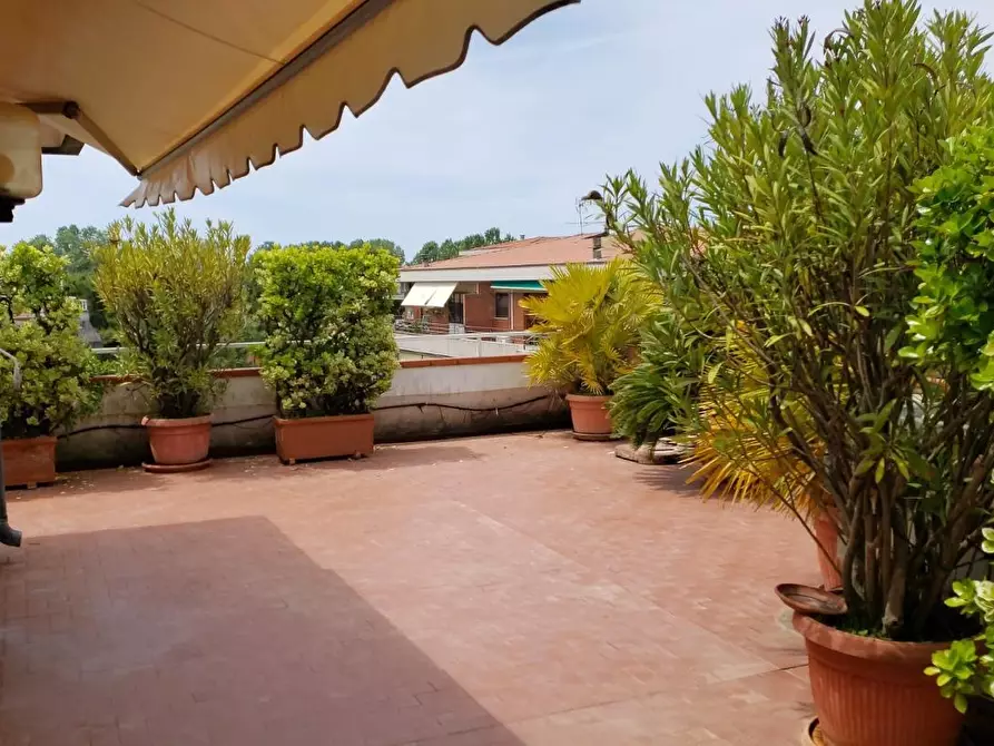 Immagine 29 di Mansarda in affitto  a Massa