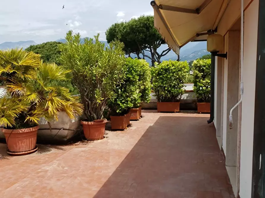 Immagine 33 di Mansarda in affitto  a Massa