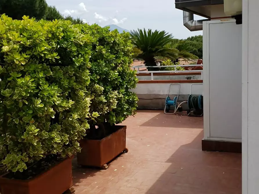 Immagine 35 di Mansarda in affitto  a Massa
