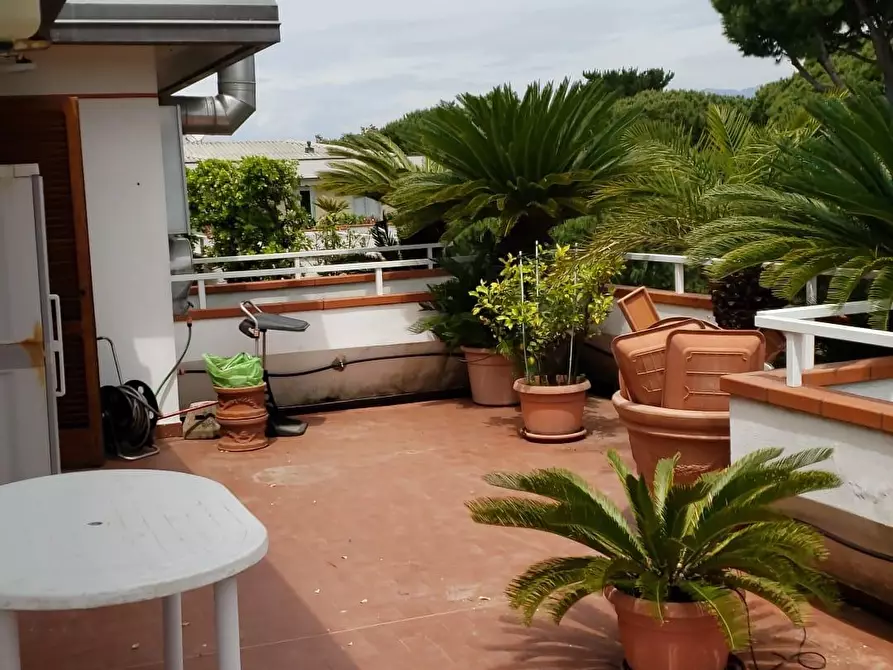 Immagine 39 di Mansarda in affitto  a Massa