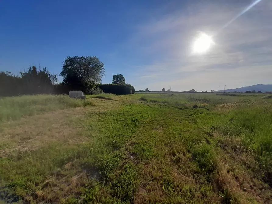 Immagine 2 di Agriturismo in vendita  a Pontedera