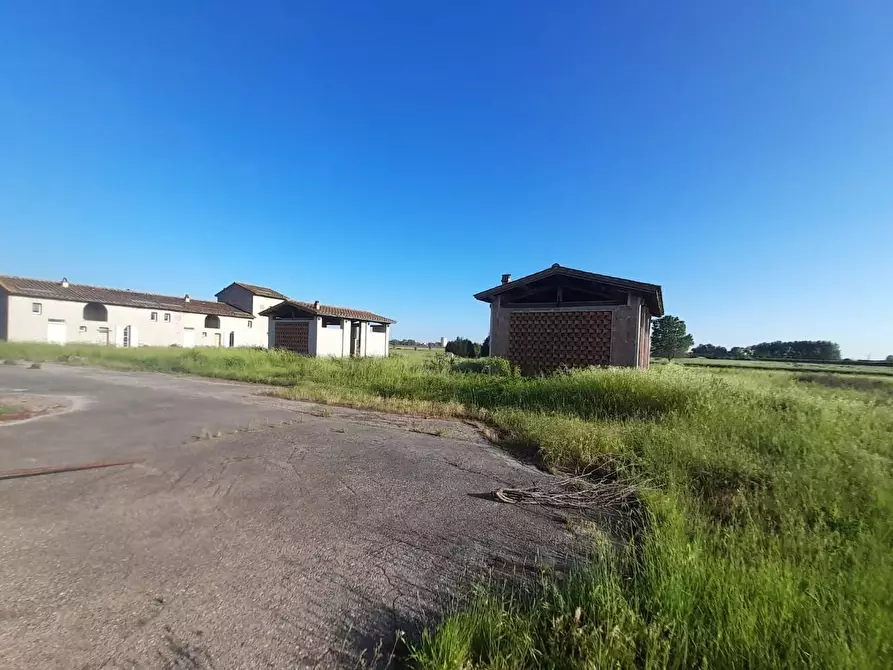 Immagine 4 di Agriturismo in vendita  a Pontedera