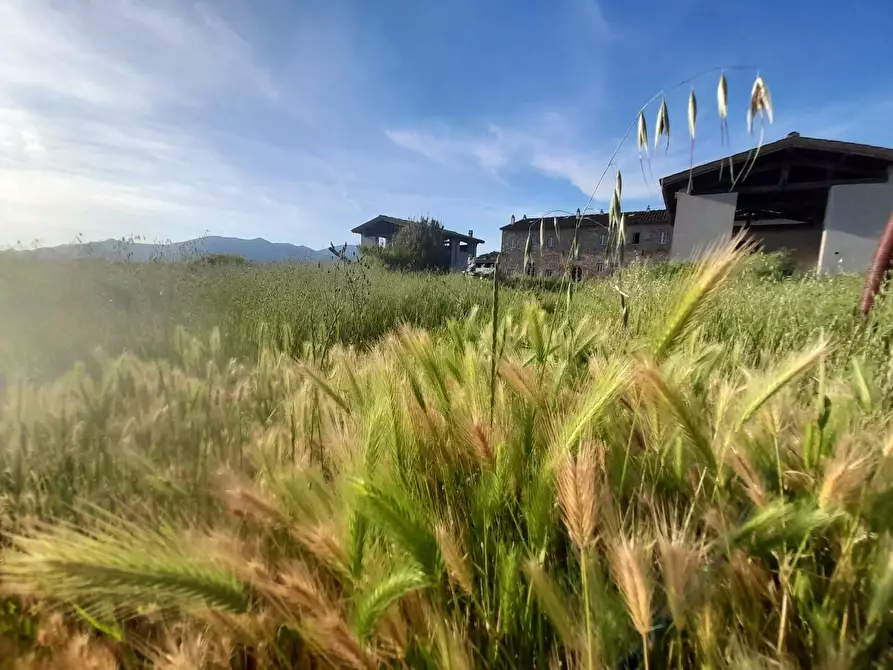 Immagine 3 di Agriturismo in vendita  a Pontedera