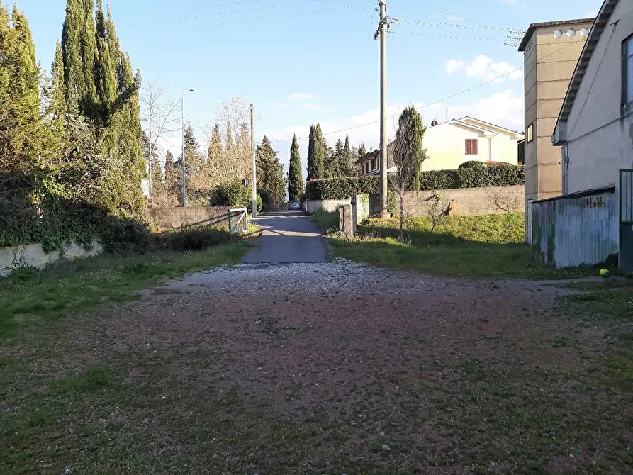 Immagine 2 di Attività artigianale in vendita  a Peccioli