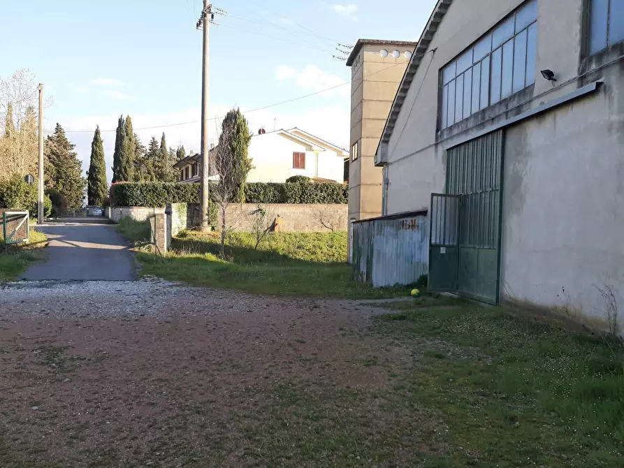 Immagine 3 di Attività artigianale in vendita  a Peccioli