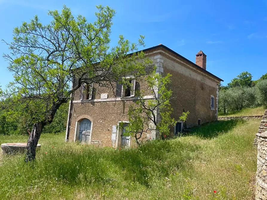 Immagine 15 di Casa colonica in vendita  a Rapolano Terme