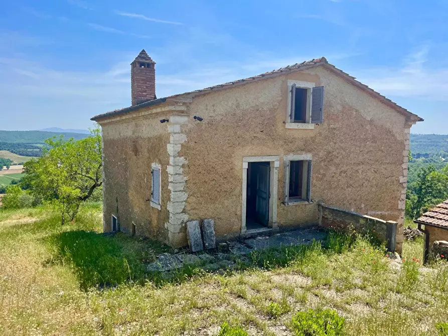 Immagine 9 di Casa colonica in vendita  a Rapolano Terme