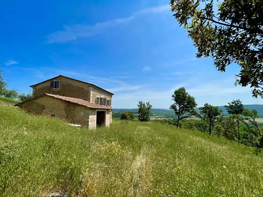 Immagine 1 di Casa colonica in vendita  a Rapolano Terme