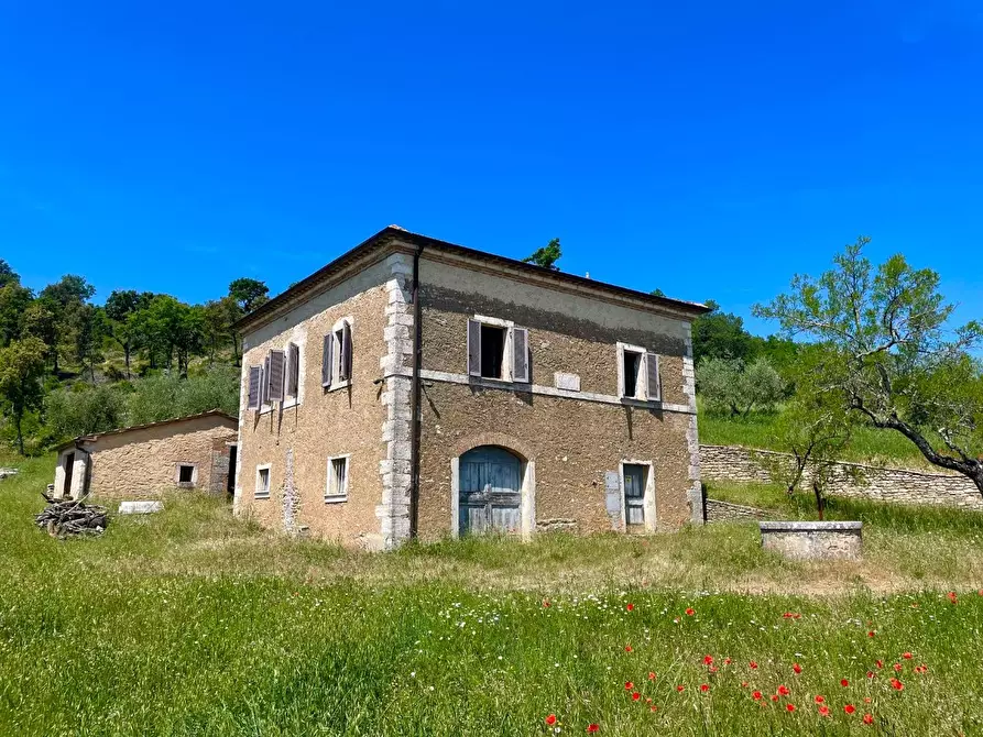 Immagine 2 di Casa colonica in vendita  a Rapolano Terme