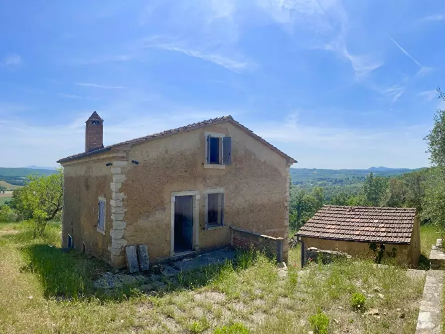 Immagine 7 di Casa colonica in vendita  a Rapolano Terme