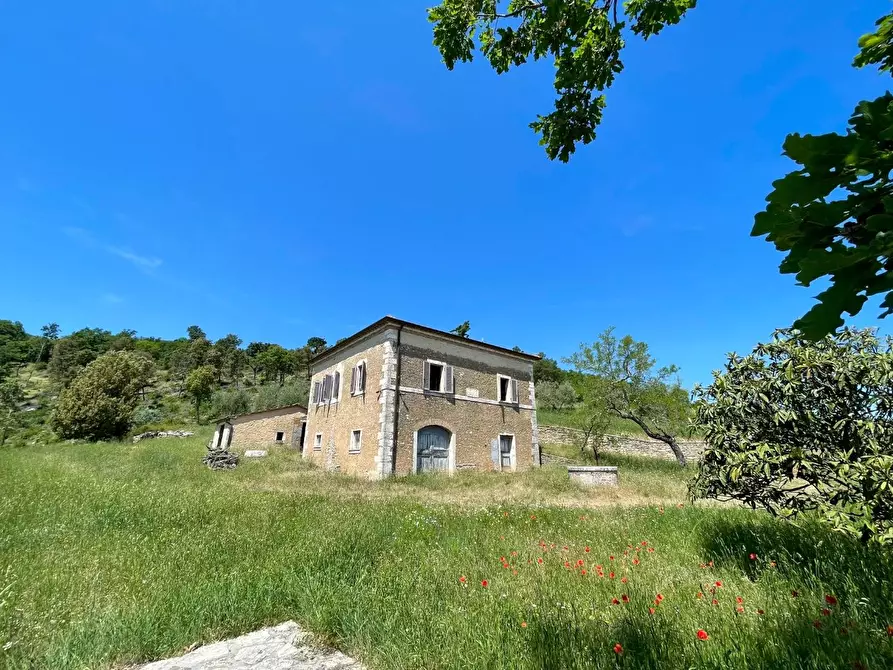 Immagine 5 di Casa colonica in vendita  a Rapolano Terme